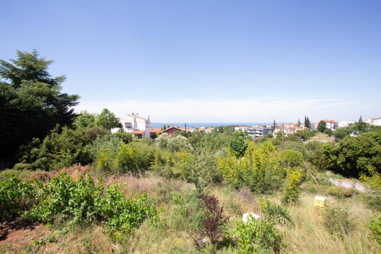 Τraditional Fully Detached Villa On A Luxurious Hillock Of Thessaloniki With Its Own Garden Also For Family & Wedding Gatherings For 10 To 25 People Only 15 Minutes From Airport Экстерьер фото
